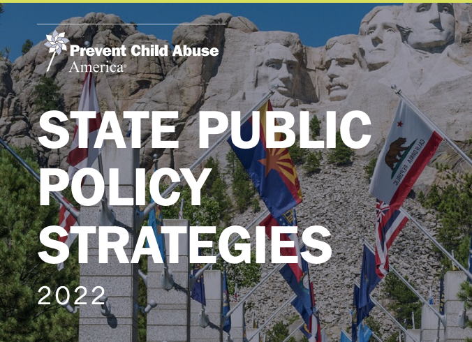 State Public Policy Strategies