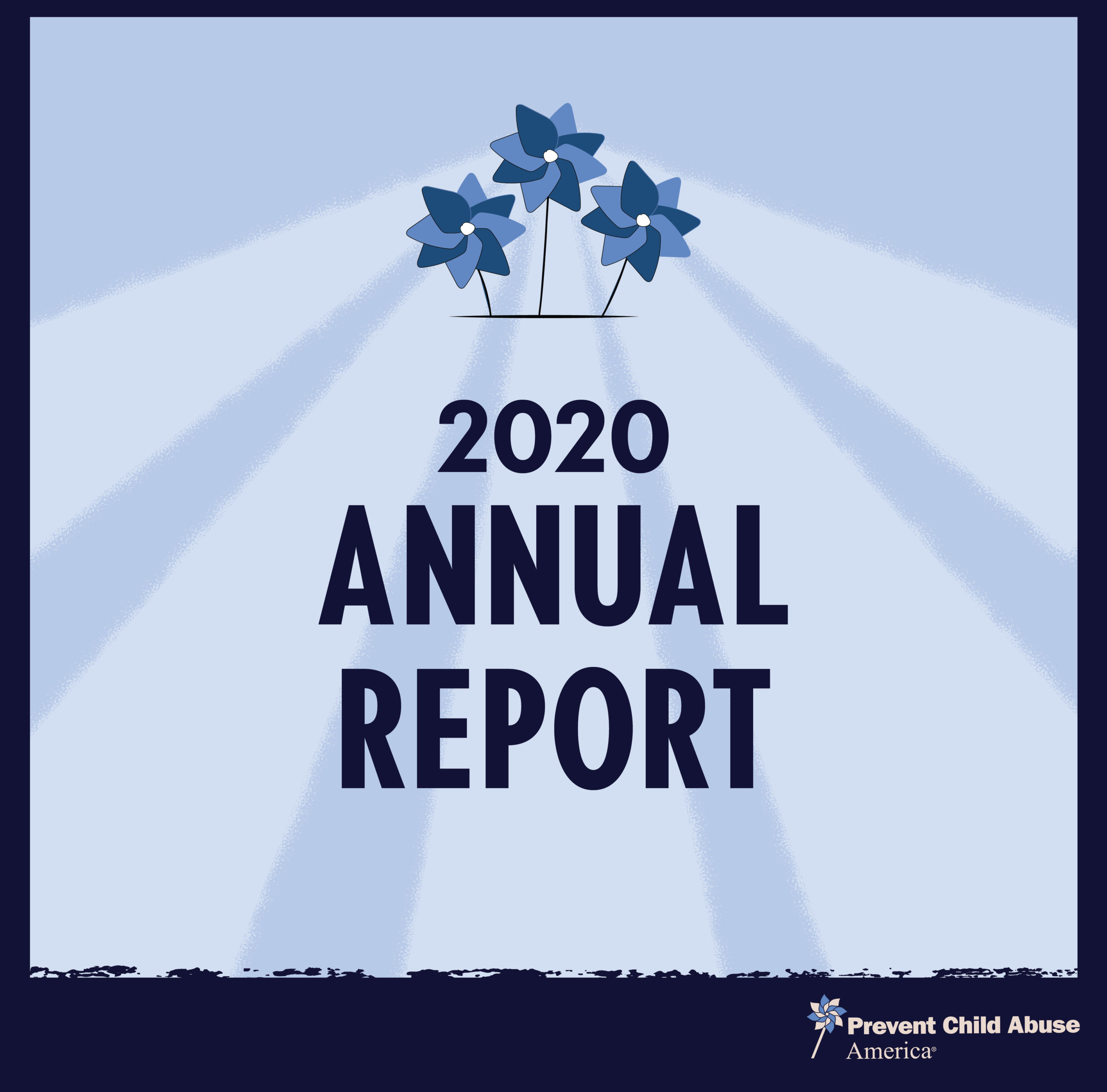 PCA America 2020 Annual Report